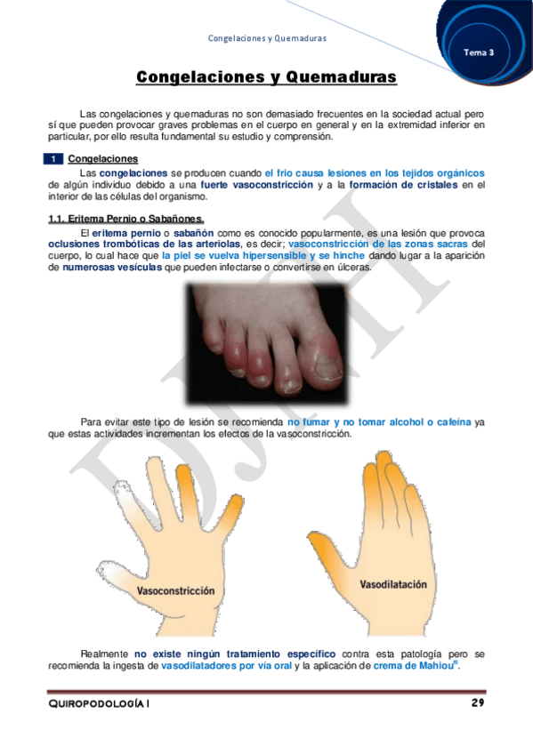 Miniatura del documento 3.pdf