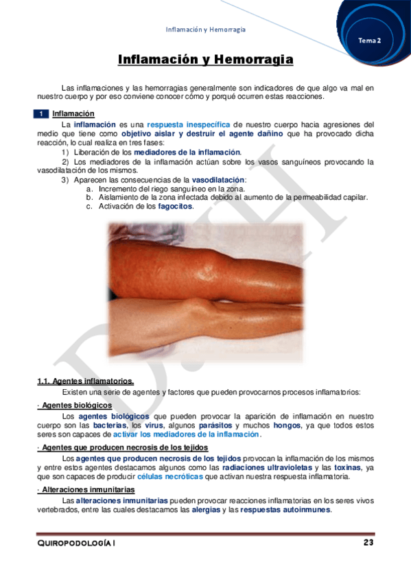 Miniatura del documento 2.pdf