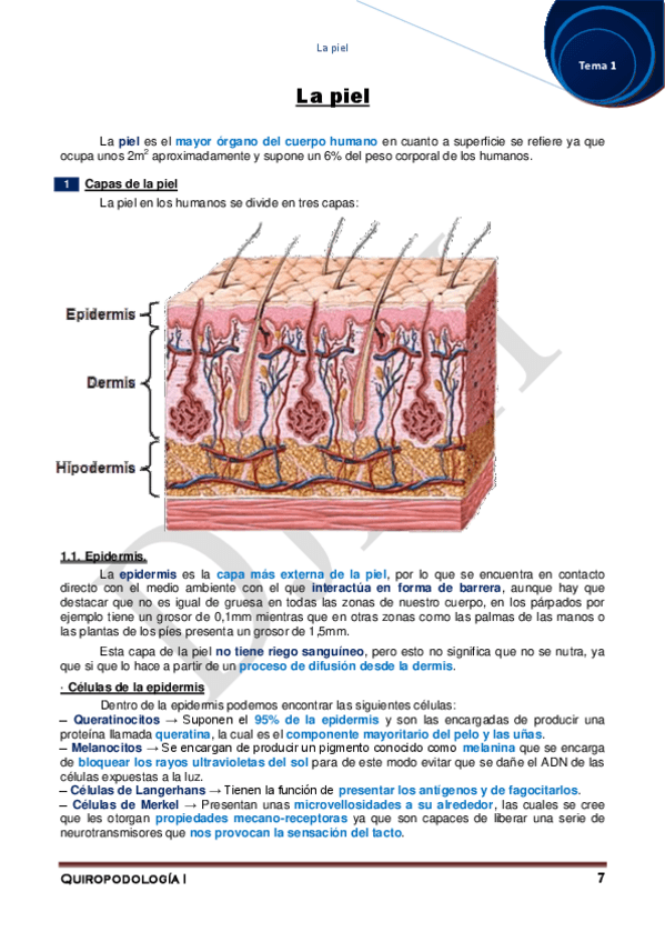 Miniatura del documento 1.pdf