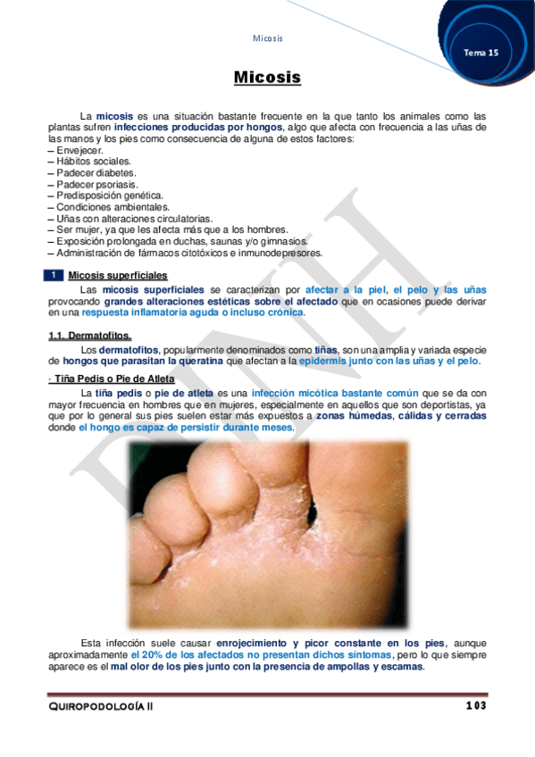 Miniatura del documento 15.pdf