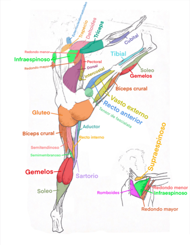 Miniatura del documento PDF-exportado-grupo.pdf