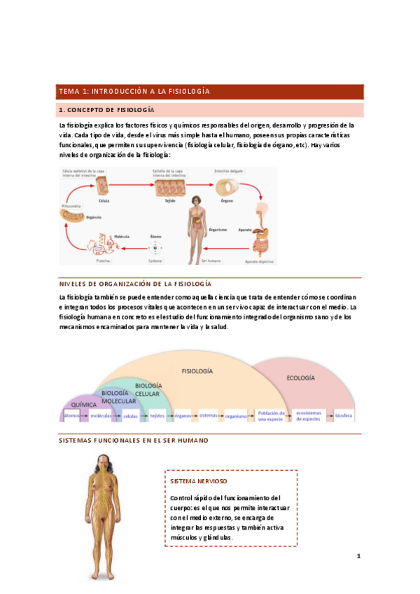Miniatura del documento T.pdf