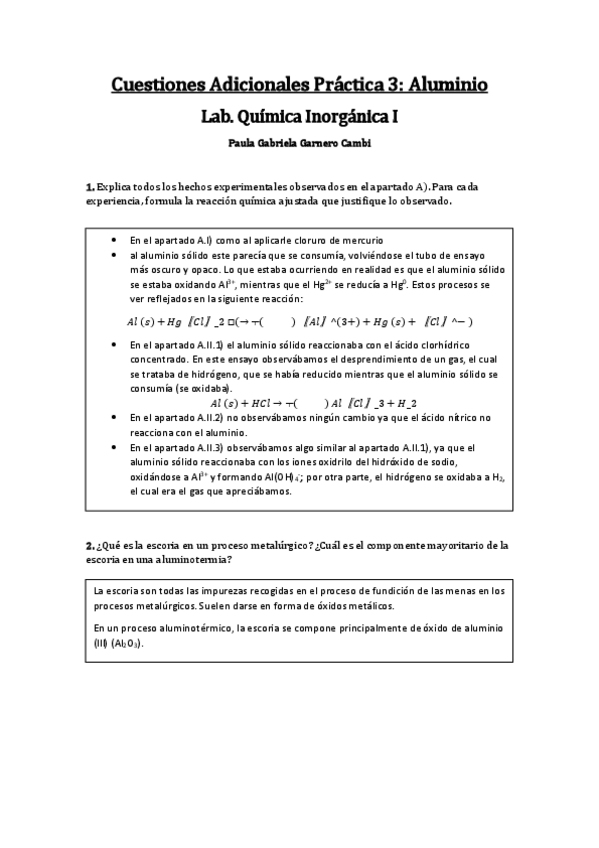 Miniatura del documento CA-P3-Paula-Gabriela-Garnero-Cambi.pdf