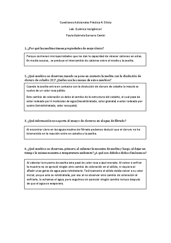 Miniatura del documento CA-P4-Paula-Gabriela-Garnero-Cambi.pdf