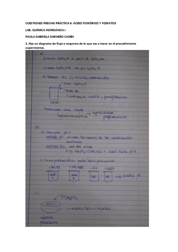 Miniatura del documento CP-P6-PAULA-GABRIELA-GARNERO-CAMBI.pdf