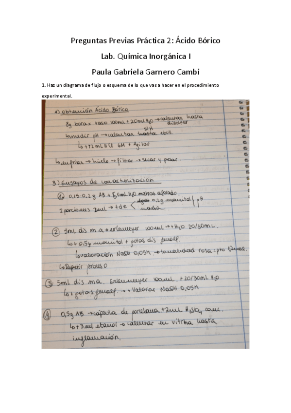 Miniatura del documento CP-P2-Paula-Gabriela-Garnero-Cambi.pdf