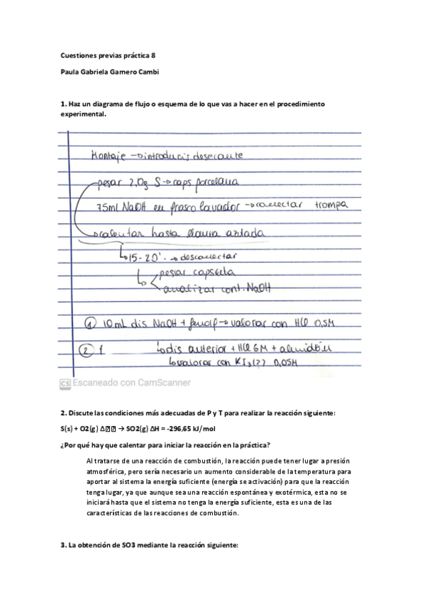 Miniatura del documento CP-P8-Paula-Gabriela-Garnero-Cambi.pdf