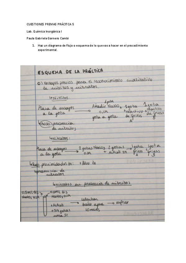 Miniatura del documento CP-P5-Paula-Gabriela-Garnero-Cambi.pdf
