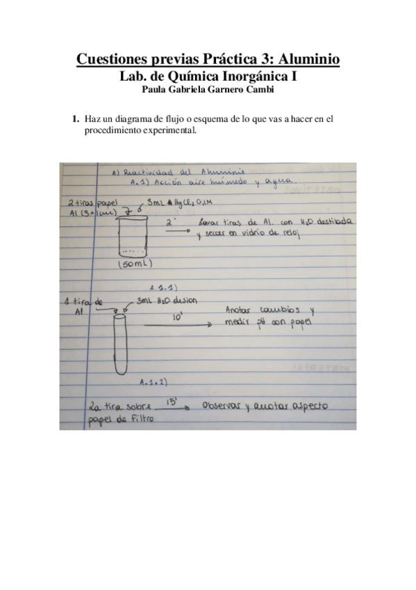 Miniatura del documento CP-P3-Paula-G.pdf