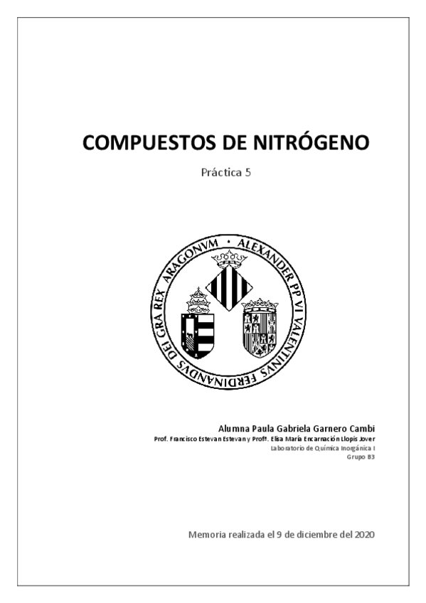 Miniatura del documento MEMORIA-P5-PAULA-GABRIELA-GARNERO-CAMBI.pdf