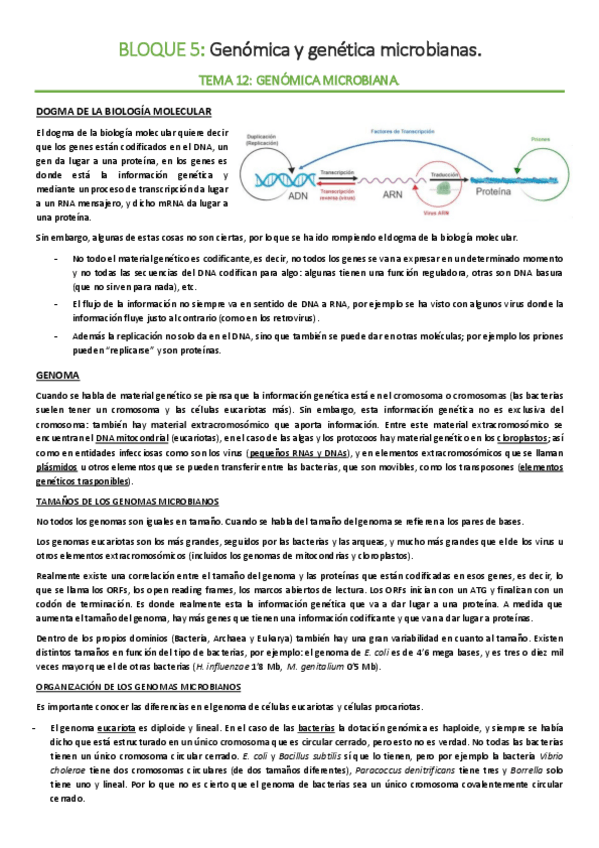 Miniatura del documento BLOQUE-5-Genetica.pdf