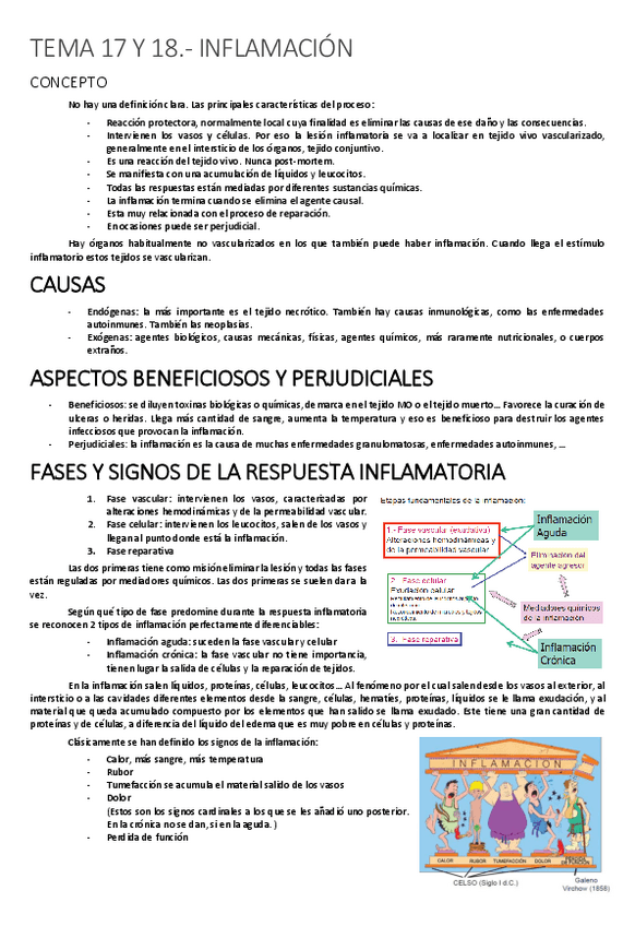 Miniatura del documento APUNTES-SEGUNDO-PARCIAL-APG-imprimir.pdf
