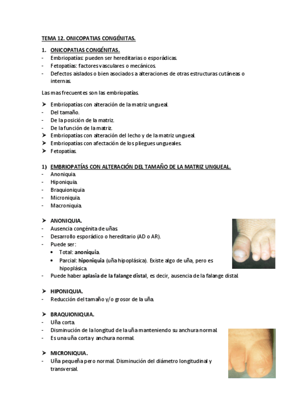 Miniatura del documento TEMA-12.pdf
