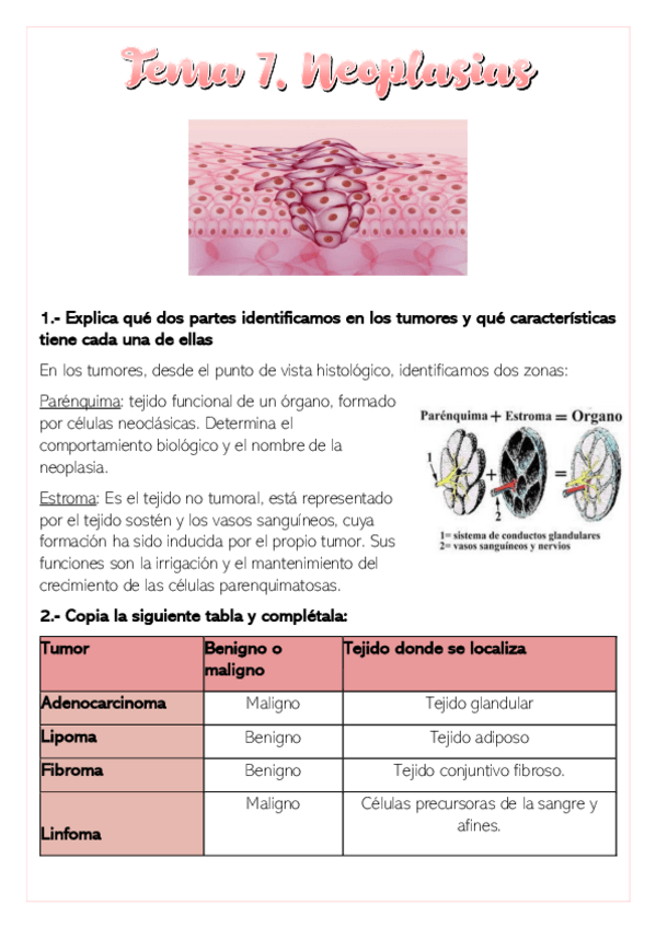 Miniatura del documento Actividades-Tema-7-Fisiopatologia-Carmen-Garcia.pdf