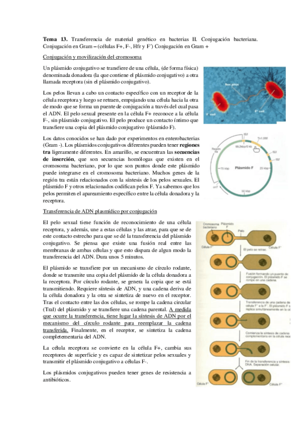 Miniatura del documento Tema-13.pdf