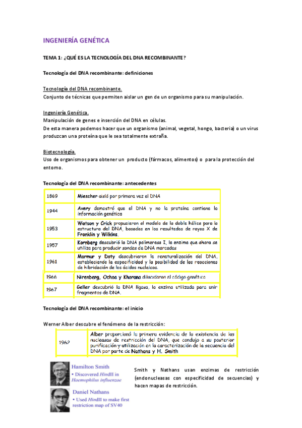 Miniatura del documento Tema 1 IG.pdf