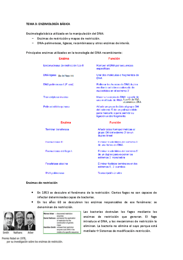 Miniatura del documento Tema 3 IG.pdf