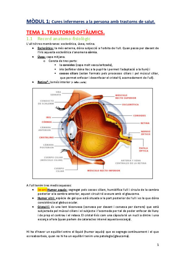 Miniatura del documento apunts-IC-II-MODIFICADOS.pdf