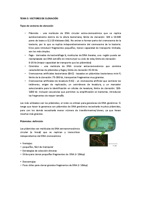 Miniatura del documento Tema 5 IG.pdf