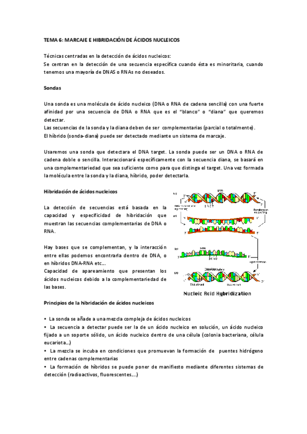 Miniatura del documento Tema 6 IG.pdf