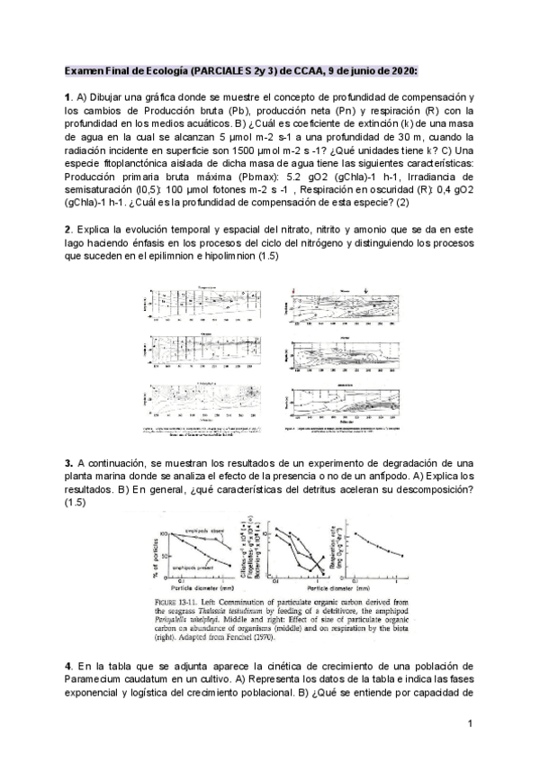Miniatura del documento EXAMECO2020.pdf