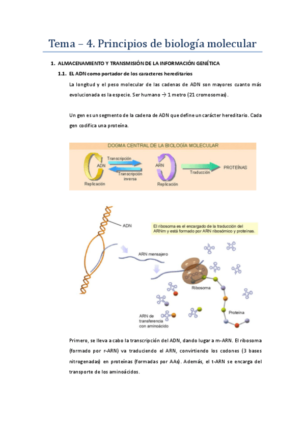 Miniatura del documento Tema-4.pdf