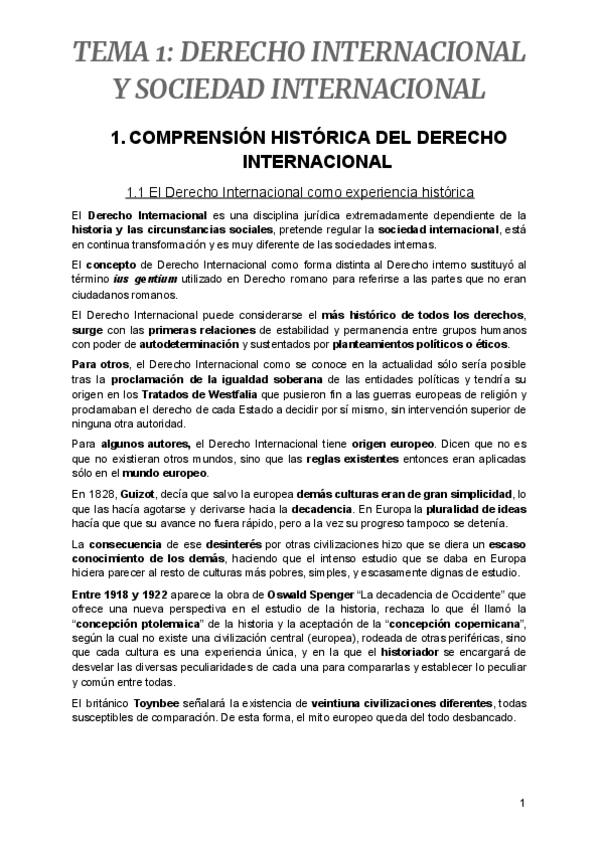 Miniatura del documento TEMA-1-DERECHO-INTERNACIONAL-Y-SOCIEDAD-INTERNACIONAL.pdf
