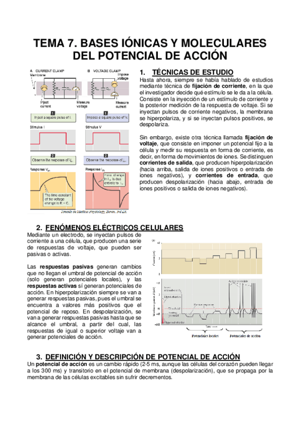 Miniatura del documento TEMA-7.pdf