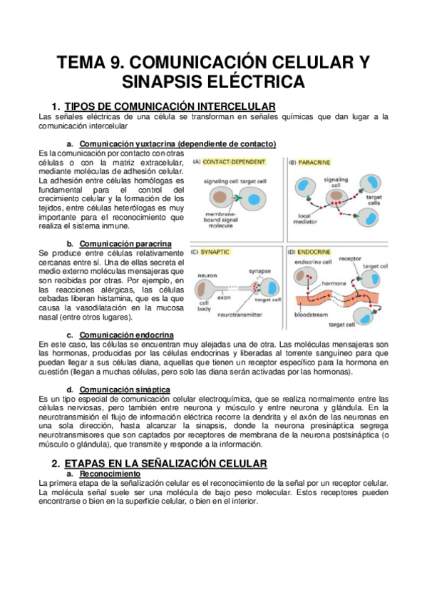 Miniatura del documento TEMA-9.pdf