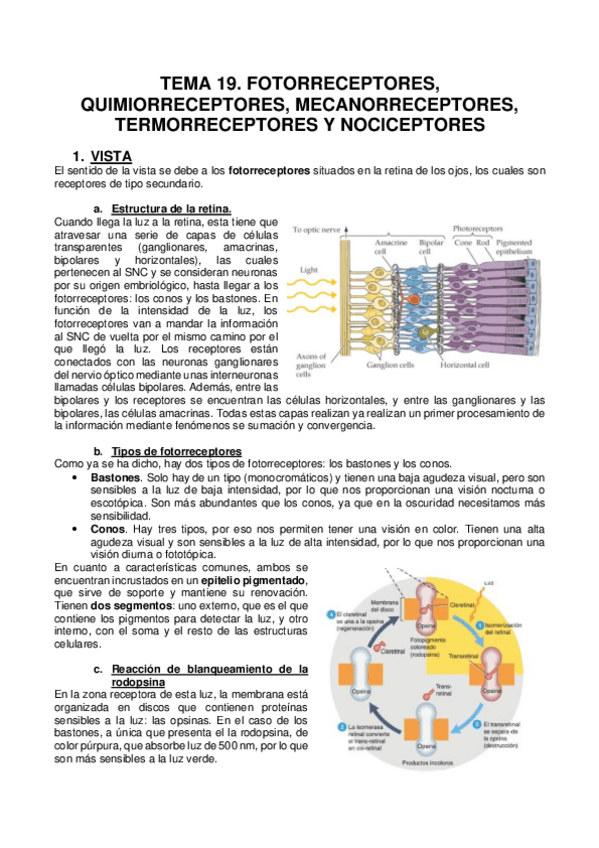 Miniatura del documento TEMA-19.pdf