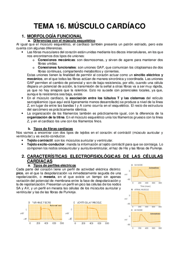 Miniatura del documento TEMA-16.pdf