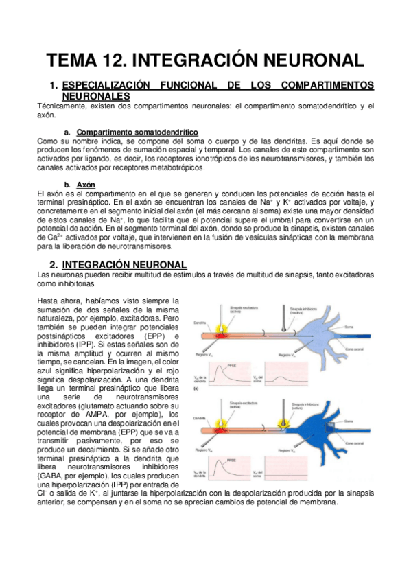 Miniatura del documento TEMA-12.pdf