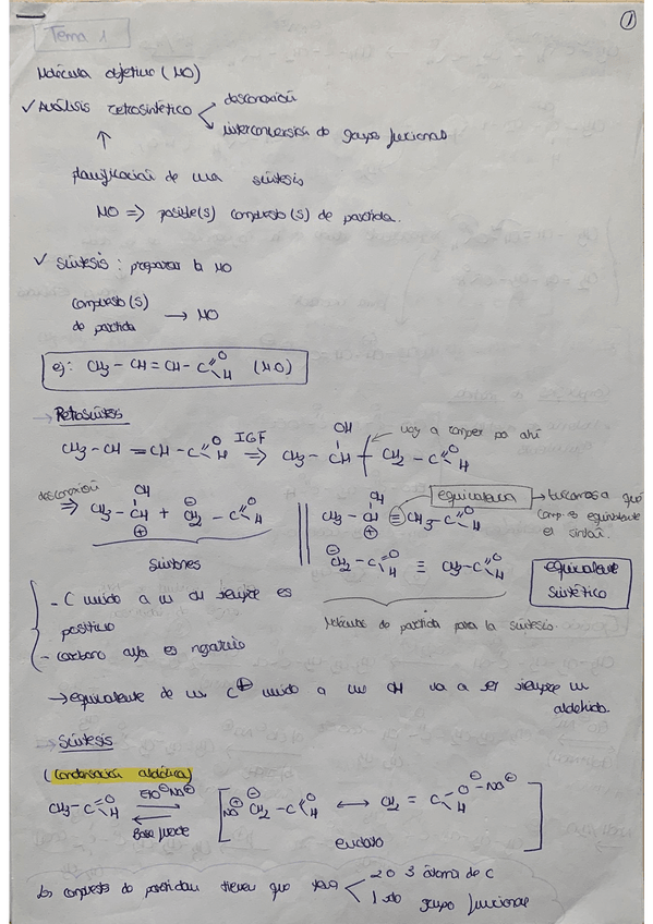 Miniatura del documento Apuntes-teoria.pdf