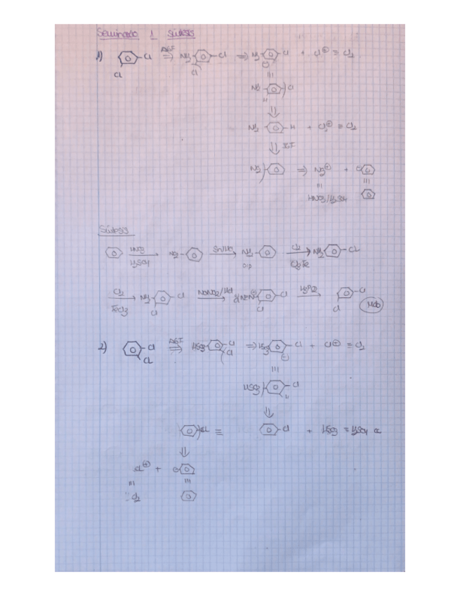 Miniatura del documento Seminario-1.pdf