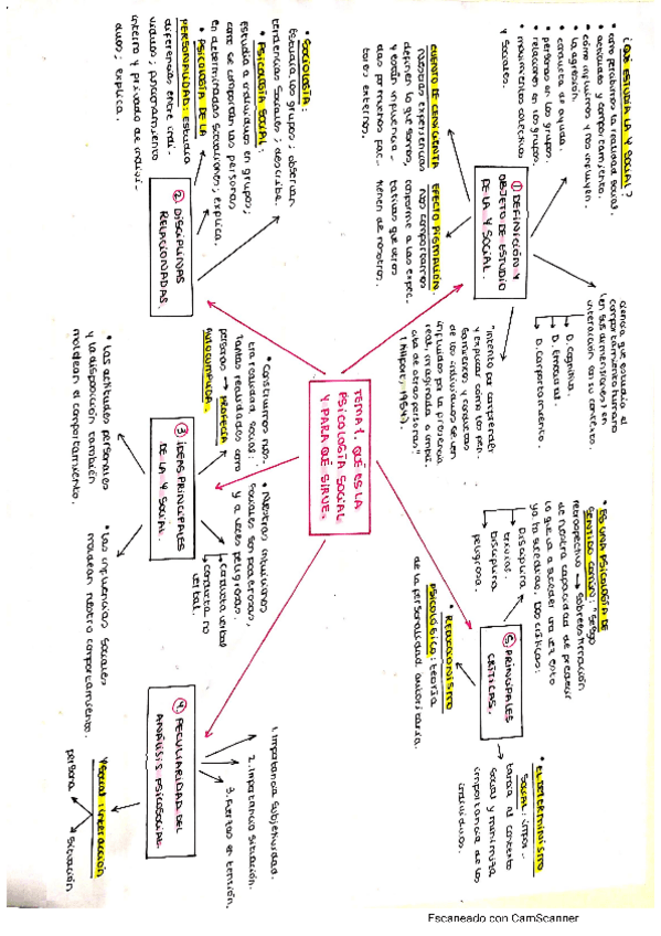 Miniatura del documento ESQUEMAS-TEMAS-PSICOLOGIA.pdf