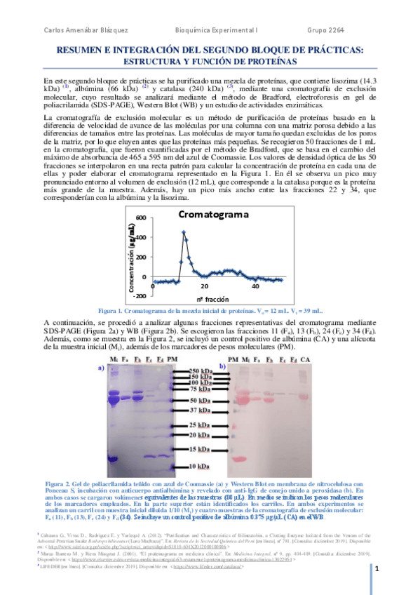 Miniatura del documento Bloque-IIIRESUMEN-E-INTEGRACION-SEGUNDA-PARTE.pdf