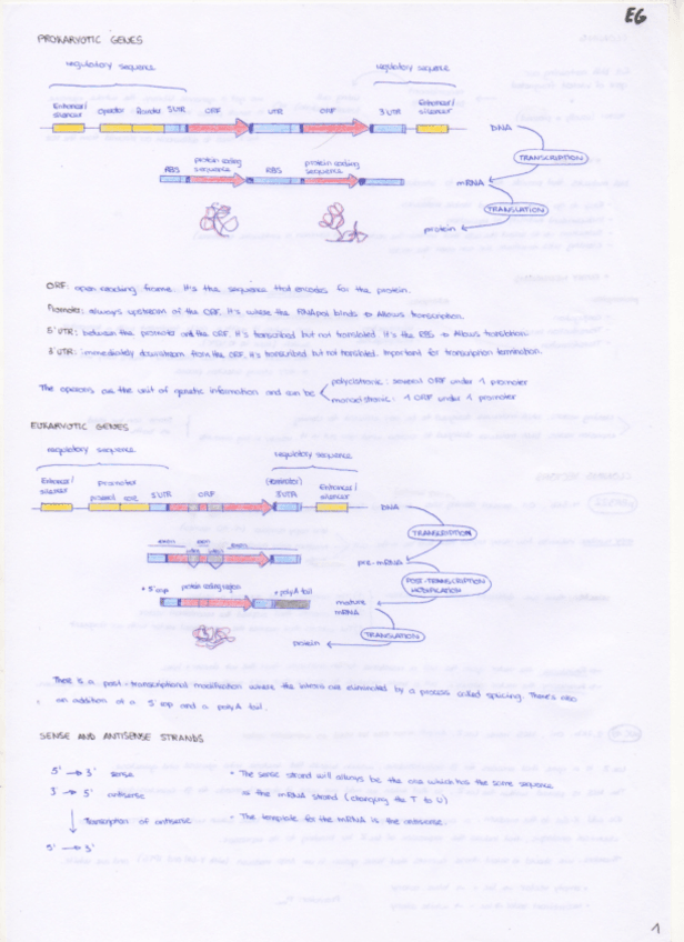 Miniatura del documento Apunts-EG.pdf