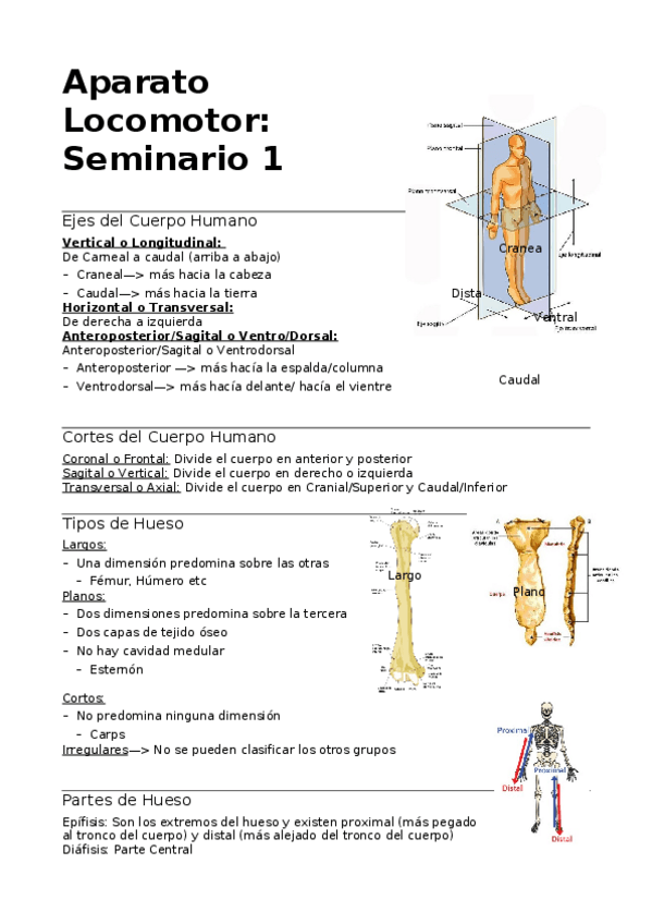 Miniatura del documento Alo-Seminario-1-WORD.docx