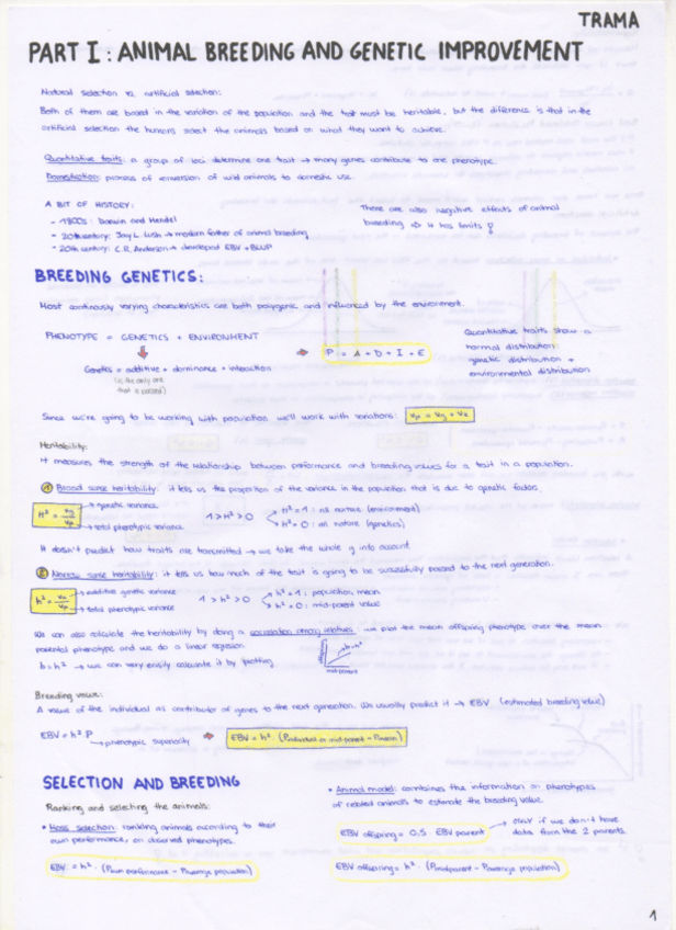 Miniatura del documento Apunts-TRAMA--labtrainig.pdf
