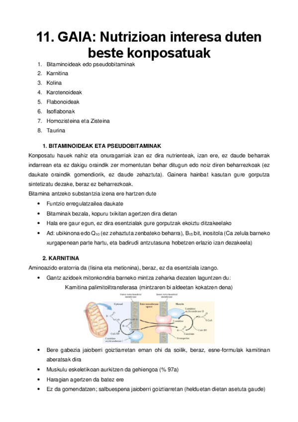 Miniatura del documento 11.pdf