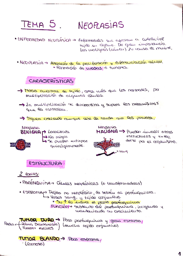 Miniatura del documento TEMA-5-Neoplasias-FPG.pdf