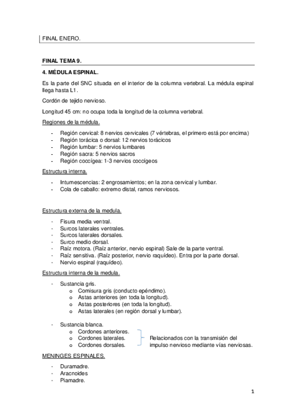 Miniatura del documento FINAL-ENERO.pdf
