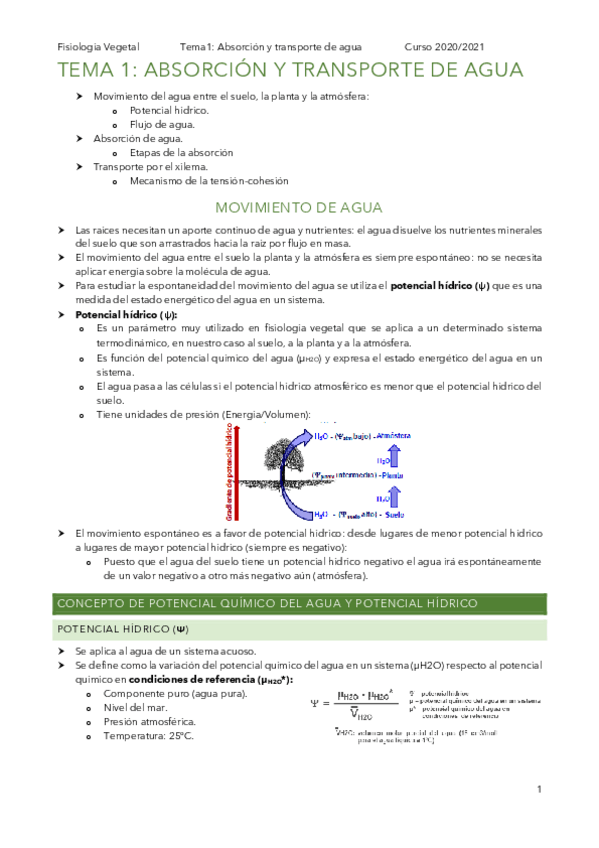 Miniatura del documento t1.pdf