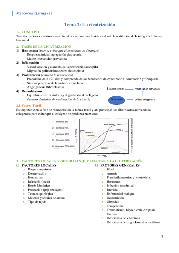 Miniatura del documento Tema-2.pdf