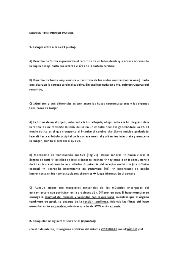 Miniatura del documento EXAMEN-TIPO.pdf