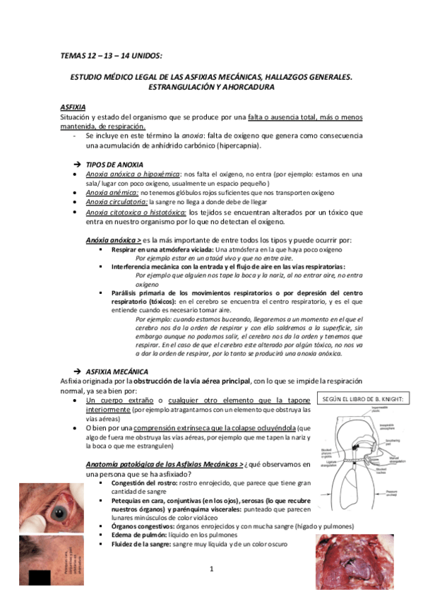 Miniatura del documento -Tema-12-13-14-unidos-medicina-legal-imprimir.pdf