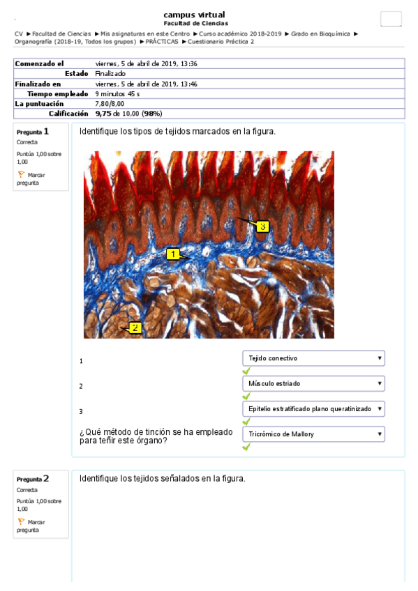 Miniatura del documento Org.pdf