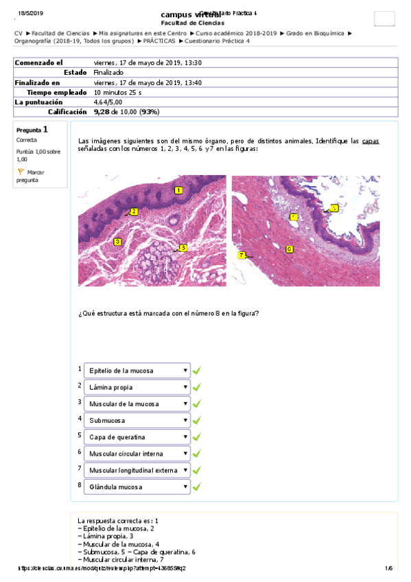 Miniatura del documento Org.pdf