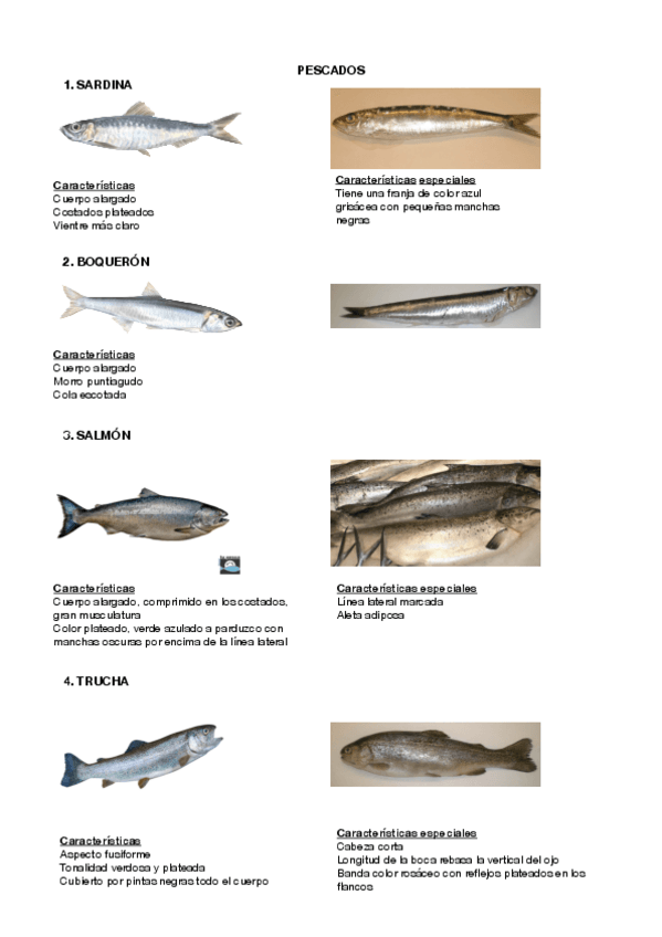 Miniatura del documento Pescados-y-caracteristicas.pdf