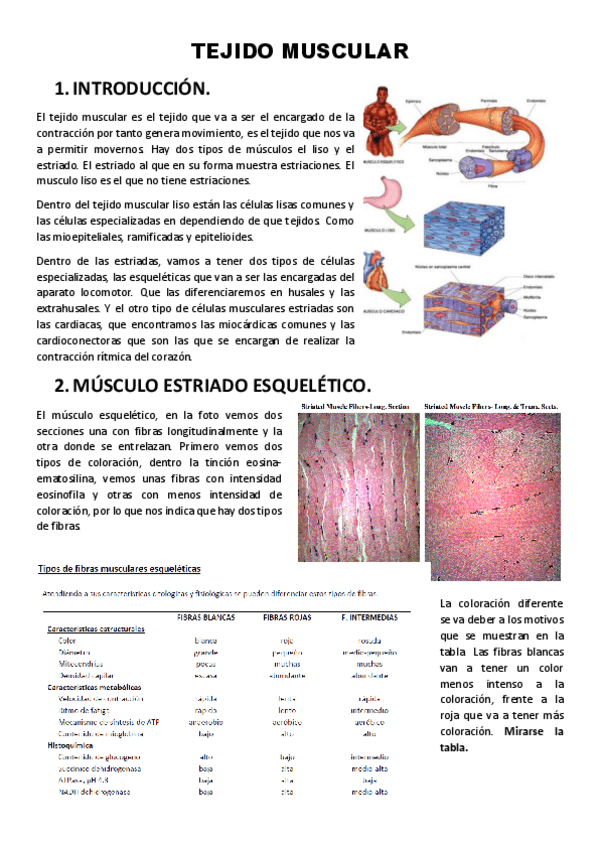 Miniatura del documento 3-Tejido-muscular.pdf